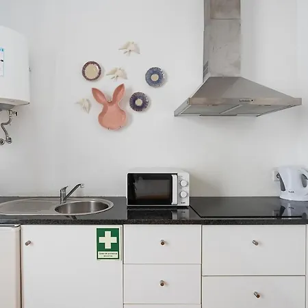 Panorama Poveiros 公寓 *