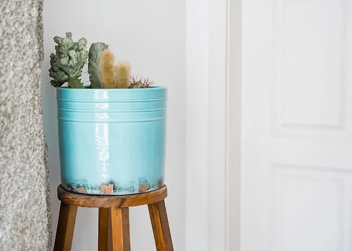 Apartamento Panorama Poveiros Porto